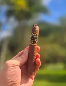 Rene Robusto 52x5