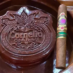 Flor de Bayahibe Toro (52x6) Single Cigar